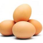 egg 150x150 Lindsay Loves #4