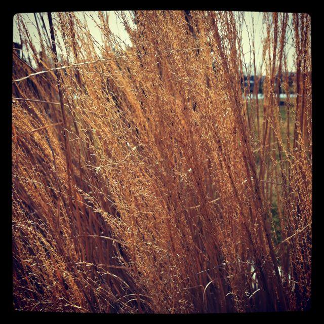 IMG 2386 Silent Saturday: A Weekday Walk