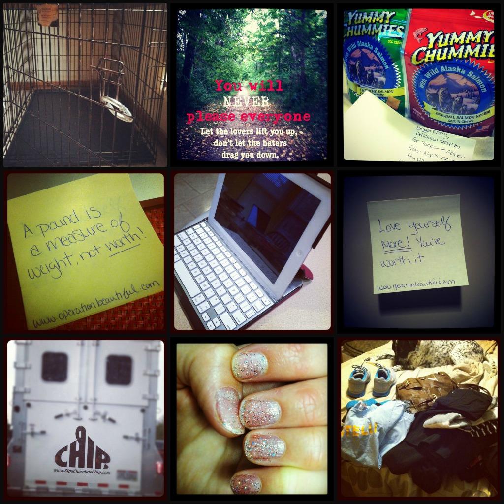 bb1 Bean Bytes #9