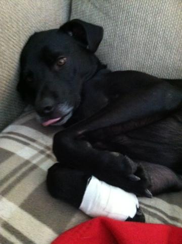 20120121-092249.jpg