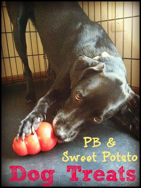 Making homemade treats for your furry friends is super easy! Try these Peanut Butter and Sweet Potato Dog Treats to celebrate your best friend!