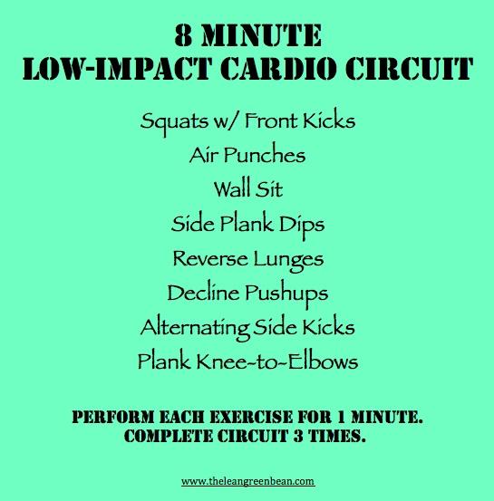 Low impact cardio circuit online