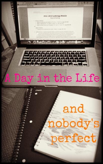 A Day in the Life & Nobody's Perfect via @Leangrnbeanblog