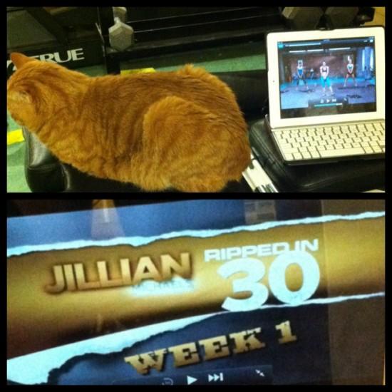 photo 324 e1354073998270