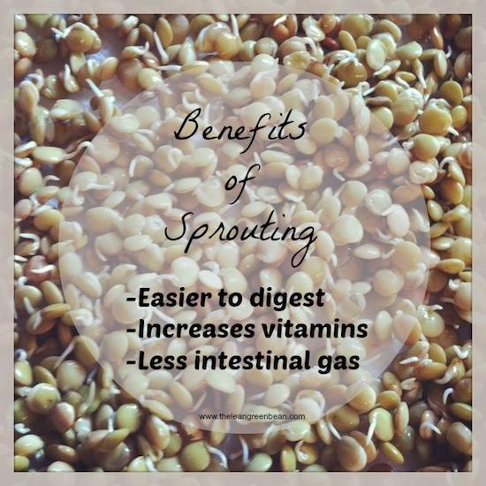 Learn how to sprout lentils! It's super easy and you can enjoy the added nutritional benefits with hardly any extra work!