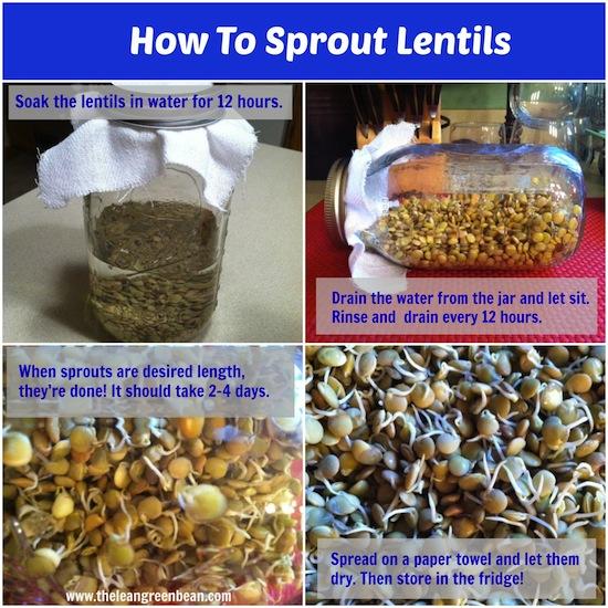 Learn how to sprout lentils! It's super easy and you can enjoy the added nutritional benefits with hardly any extra work!