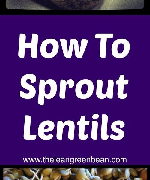 how to sprout lentils