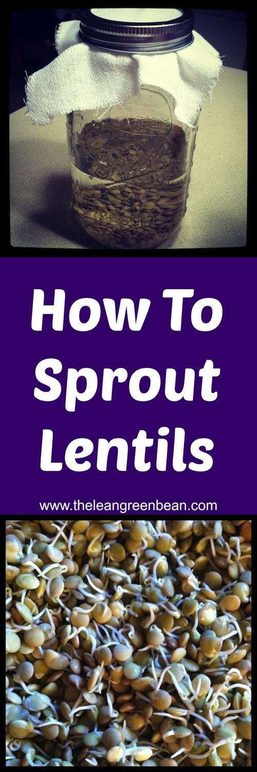 Learn how to sprout lentils! It's super easy and you can enjoy the added nutritional benefits with hardly any extra work!