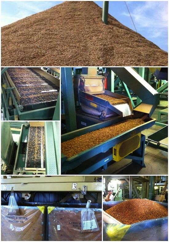 almond processing