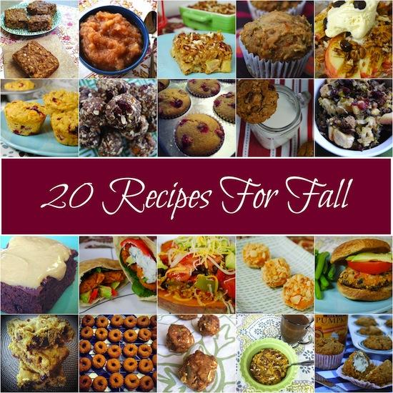 Do you love all the flavors of Fall like apple, cranberry, sweet potato and pumpkin? Here are 20 recipes to try!