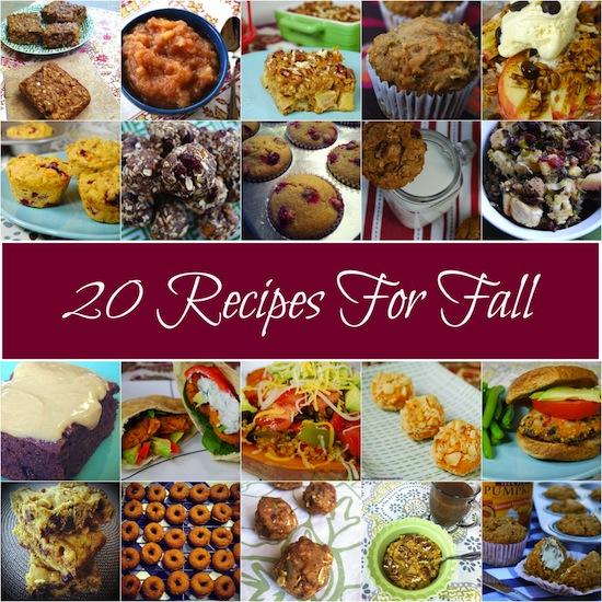 Do you love all the flavors of Fall like apple, cranberry, sweet potato and pumpkin? Here are 20 recipes to try!