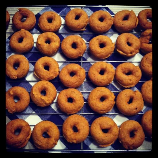 pumpkin donuts