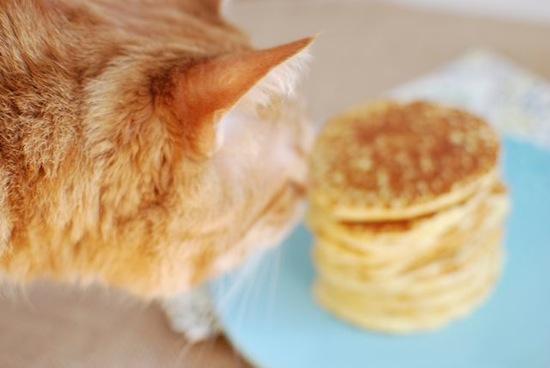 Gluten-Free Corn Cakes 9 DSC_0588