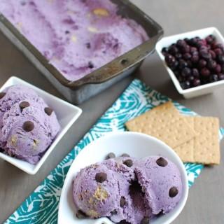 wild blueberry ice cream
