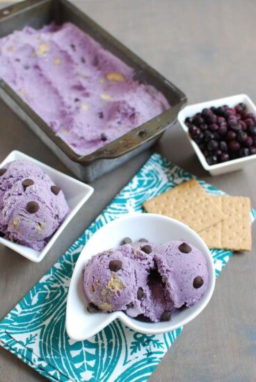 wild blueberry ice cream