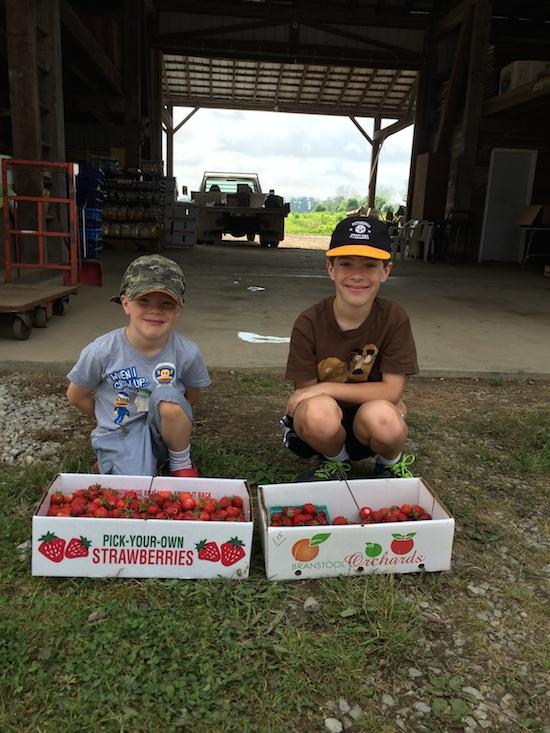 Need some new healthy meal and snack ideas for your kids? Here's what some Registered Dietitians feed their kids. 