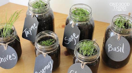 window sill herb garden