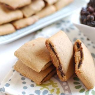 raisin newtons