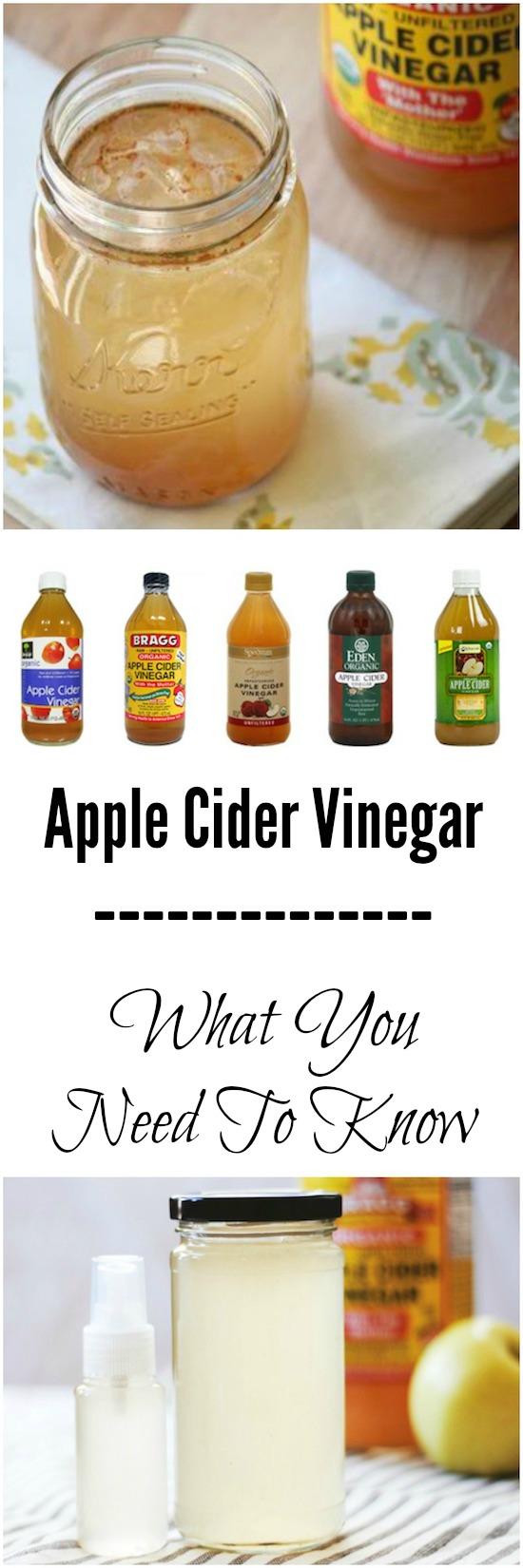 Heard all the buzz about apple cider vinegar? Should you be using it? Click to learn more from a Registered Dietitian - to - be!