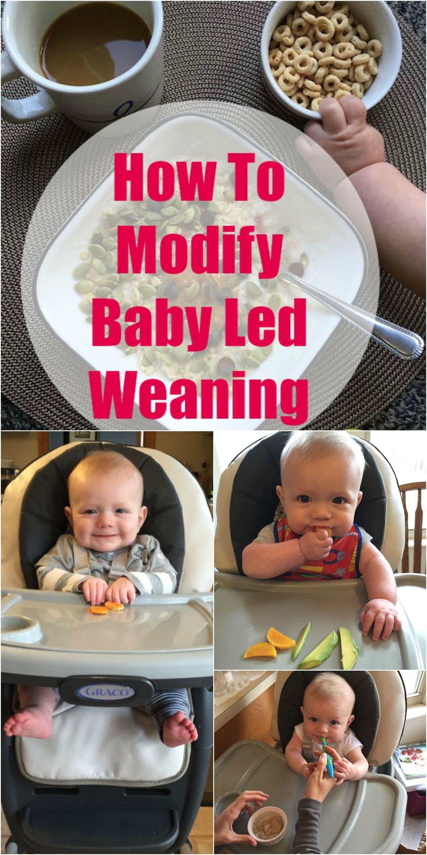 How To Modify Baby Led Weaning
