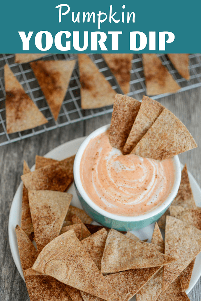 This Pumpkin Yogurt Dip is made with just a few simple ingredients and is the perfect afternoon snack! Try it paired with cinnamon and sugar tortilla chips or graham crackers. 