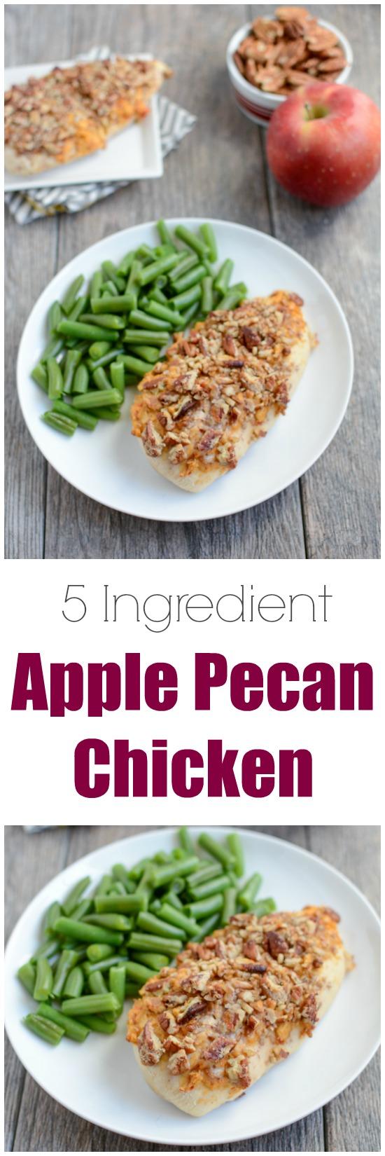 This simple recipe for Apple Pecan Chicken is made with just 5 ingredients and makes a great weeknight dinner. 