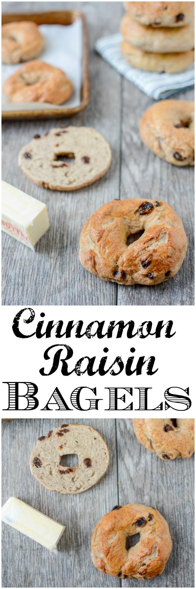 These Cinnamon Raisin Bagels are easy to make at home and taste way better than store-bought! Perfect with peanut butter for an afternoon snack!