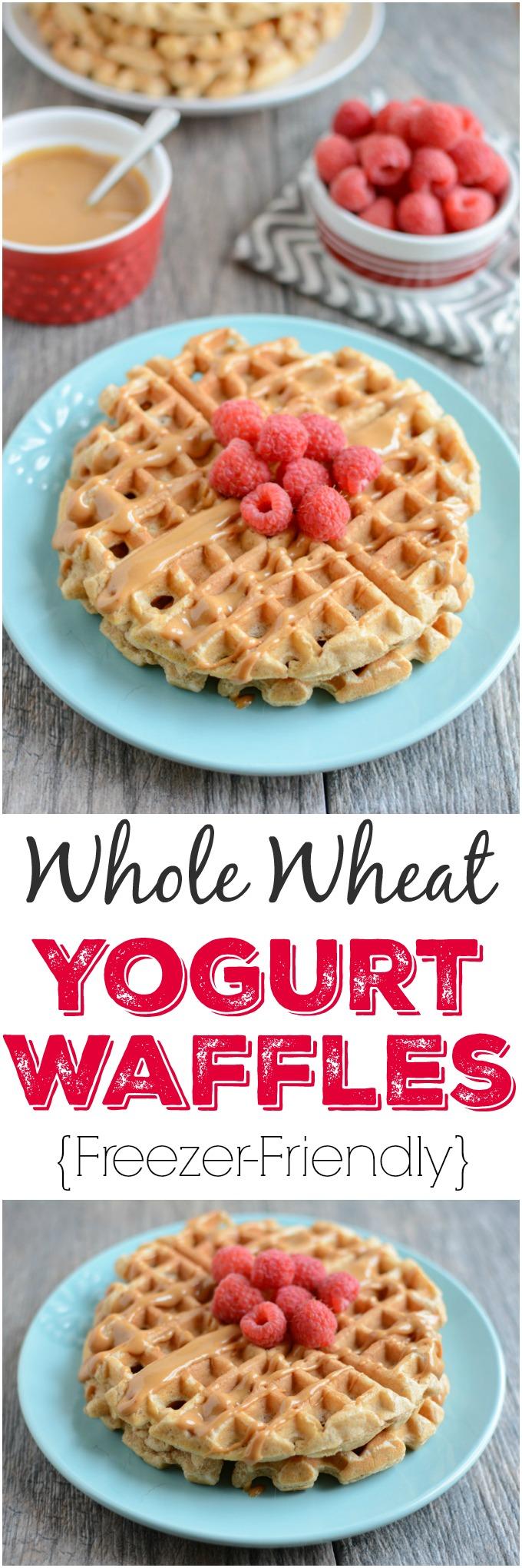 These Whole Wheat Yogurt Waffles are easy to make and packed with protein and fiber. Make a batch ahead of time to stock your freezer and reheat them for a quick breakfast or snack. 