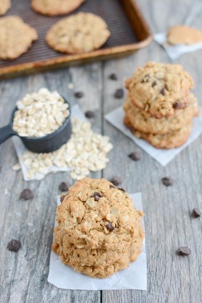 These Dairy-Free Lactation Cookies are the perfect snack for nursing moms. Not breastfeeding? Leave out the brewer's yeast and enjoy an oatmeal chocolate chip cookie for dessert!