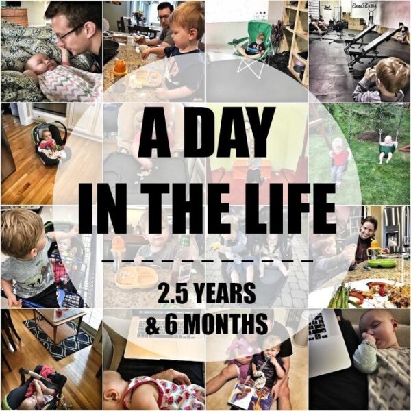 A Day in the Life 2.5 Years + 6 Months