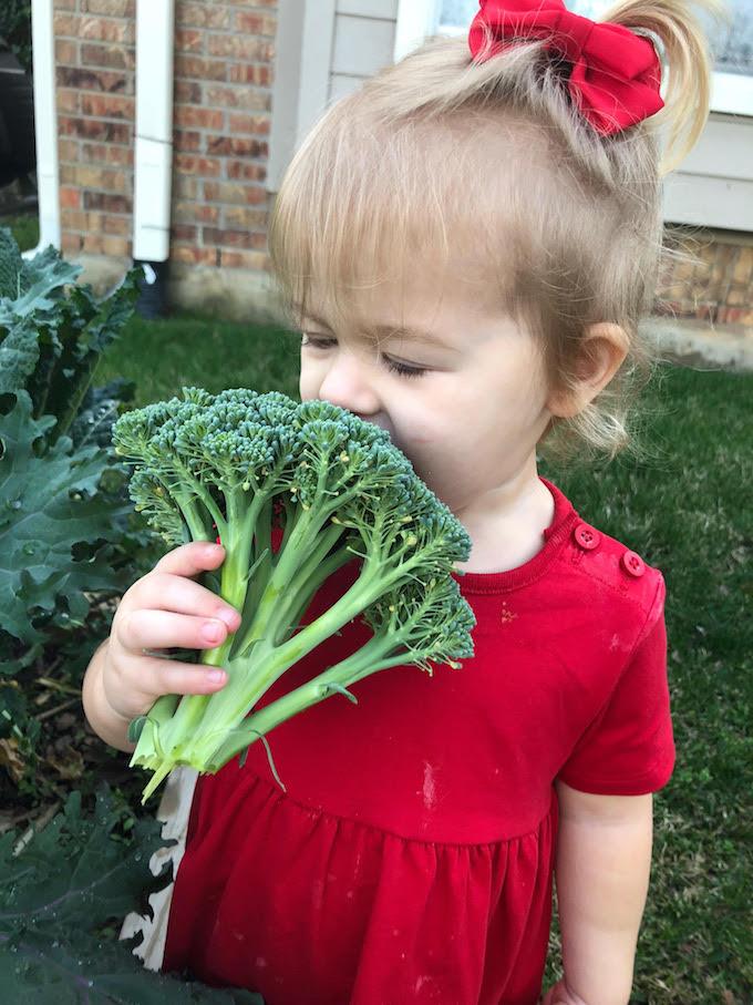 toddler smelling broccoli