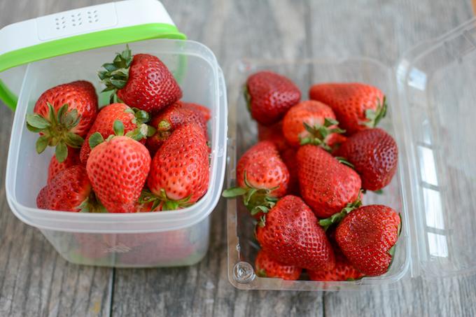 strawberries in freshworks vs store plastic container