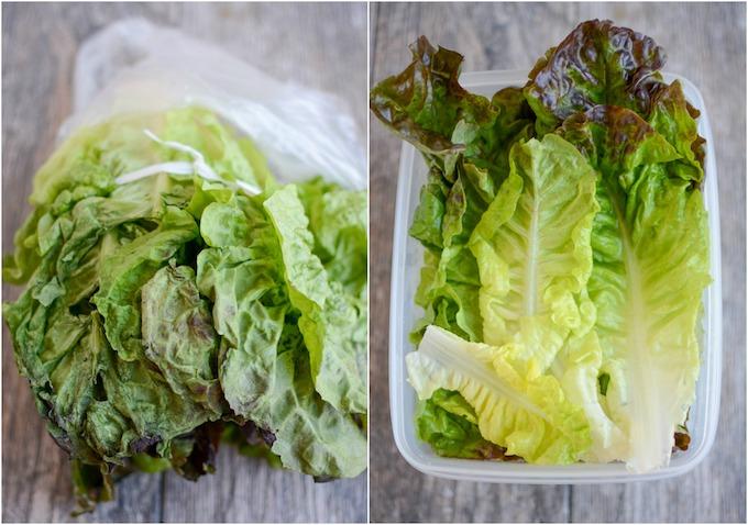 lettuce in plastic bag vs freshworks container