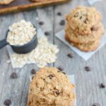Dairy Free Lactation Cookies 1