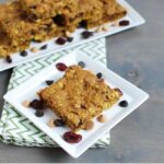 pumpkin cranberry oat bars