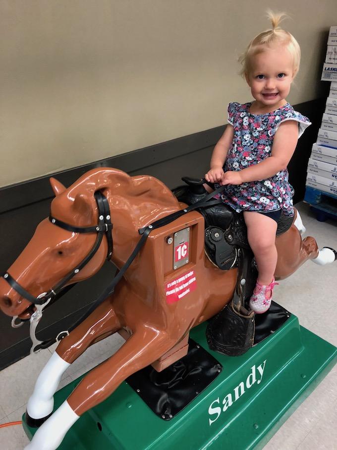 Meijer sandy horse