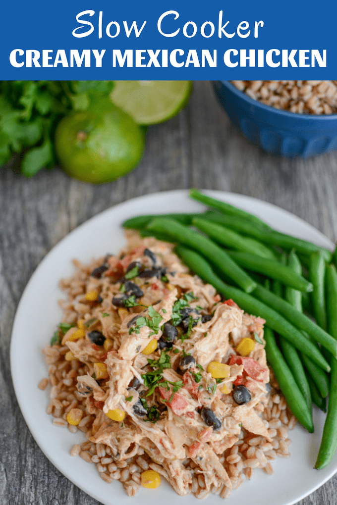 This Slow Cooker Creamy Mexican Chicken makes a quick, easy dinner or freezer recipe. Made with simple ingredients but full of flavor, it's great on its own or served over rice, farro or cauliflower rice.