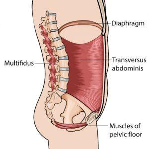 diaphragmatic breathing