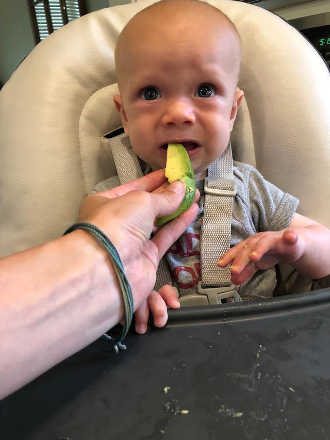 baby eating avocado