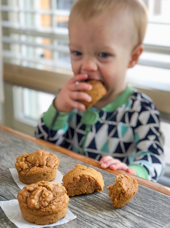 toddler eating carrot applesauce muffins