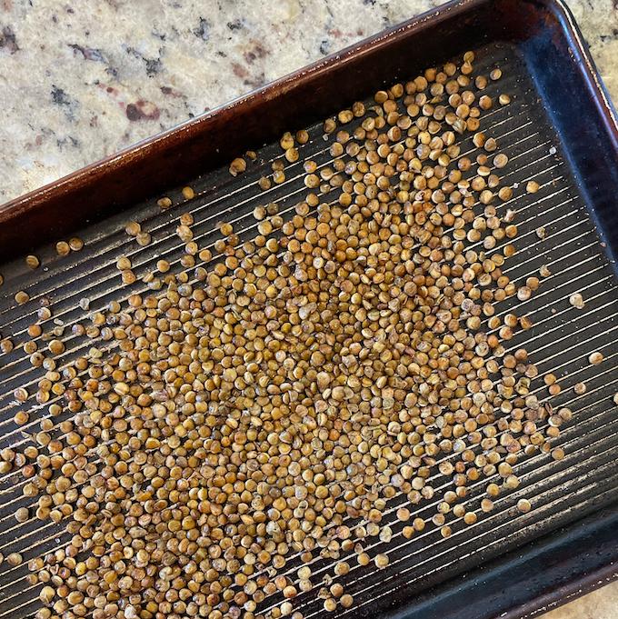 roasted lentils snack