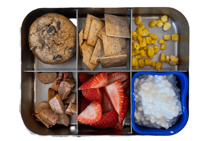 lunch box with muffin, chicken sausage, strawberries, cottage cheese and crackers