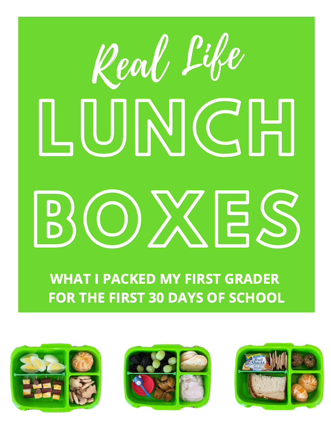 real life lunch boxes