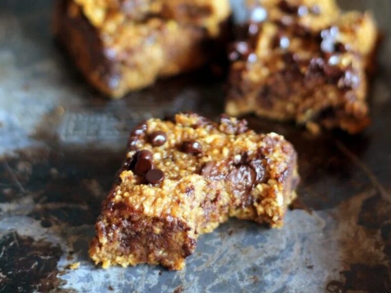 pumpkin chocolate chip oat bars