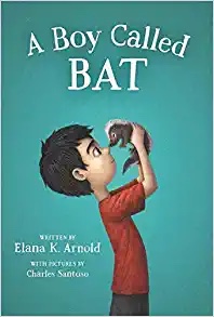 A Boy Called Bat