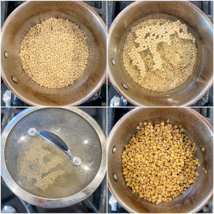 how to cook lentils on the stove step-by-step