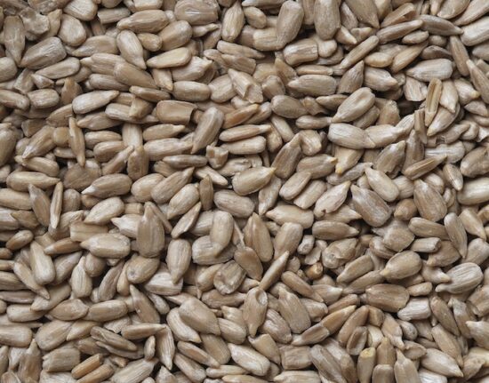 Super Seeds: A Guide to the Nutritional Benefits of Flax, Chia, Hemp, Pumpkin, and Sunflower Seeds 6 sunflower seeds