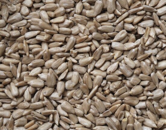 sunflower seeds