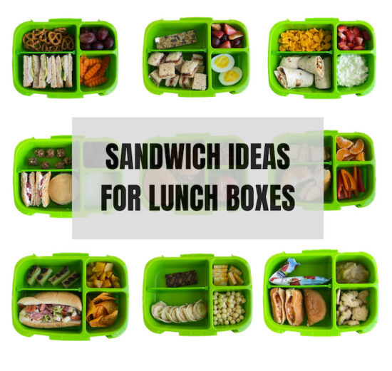 Sandwich Ideas For Lunch Boxes + fun sandwich alternatives!