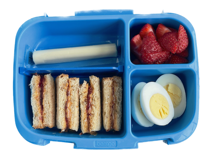 high protein toddler lunch idea